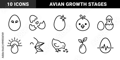 Avian life cycle and poultry farming progress indicators. Minimalist monoline pictograms featuring egg incubation, hatching stages, and chick development concepts.