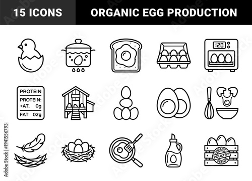 Sustainable poultry farming and organic egg production elements. Technical monoline pictograms for agricultural branding, breakfast menus, and culinary packaging design.