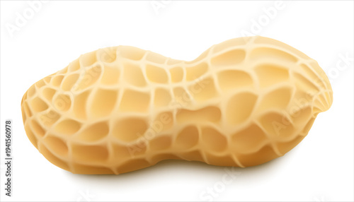 Fresh, tasty peanut in shell, isolated on a white background. Nutritious snack, dietary product, culinary ingredient, source of protein, fatty acids. Legumes. Realistic 3D vector illustration.