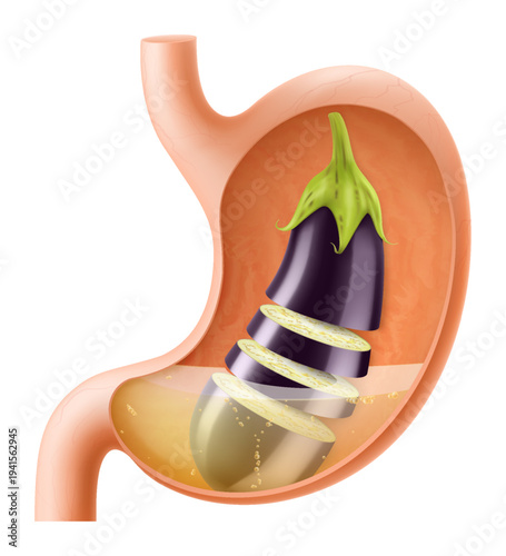 Human Stomach with eggplant. The stomach digests aubergine. A stomach filled with healthy and wholesome food. Proper nutrition. Realistic 3d Vector illustration. Food digestion process illustration