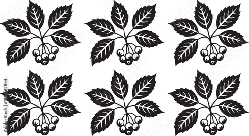 Botanical illustration of rowan berries and leaves, seamless pattern element