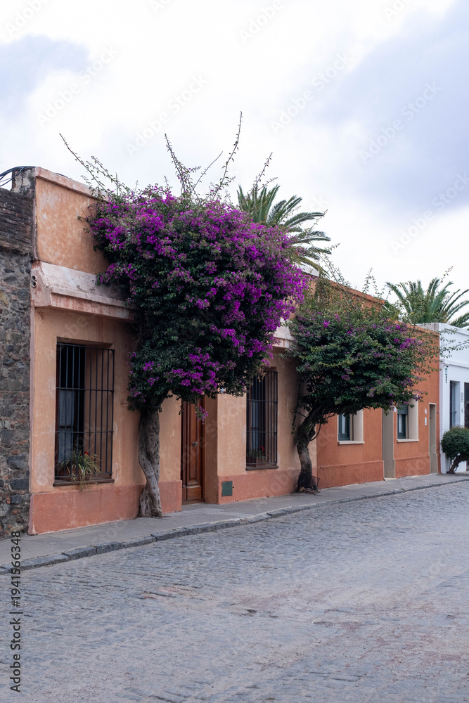 Fototapeta premium street in the old town of crete