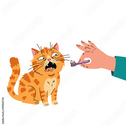 Funny cat scared of teeth brushing for pet dental care with hand holding a toothbrush and toothpaste. Feline reaction of fear to daily grooming routine, oral hygiene, vet checkup and animal health