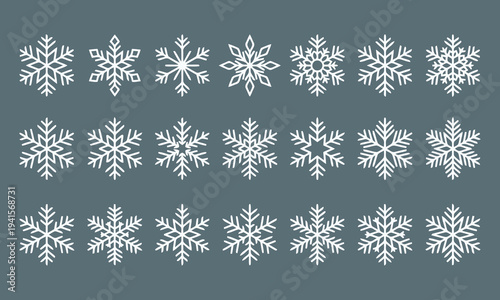 A diverse collection of elegant white snowflake patterns on a soft grey background perfect for winter themes