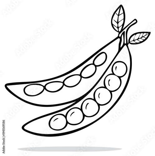 Pea Pod Line Art: Fresh Produce Icon of Green Peas Isolated on White