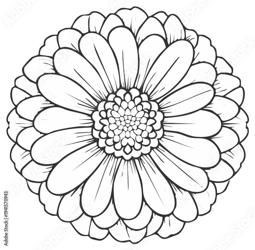 Intricate Floral Mandala Design with Symmetrical Petals and Detailed Center in Black and White