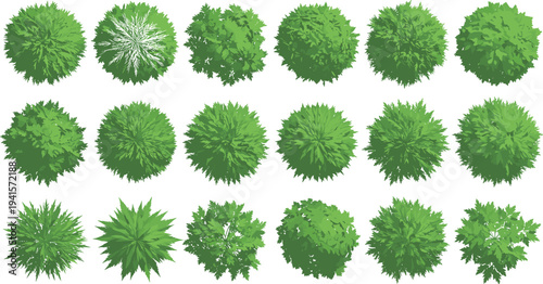 Tree top view illustration set, cartoon foliage icons, landscape design elements, nature clipart pack, vector canopy graphics, outdoor planning assets