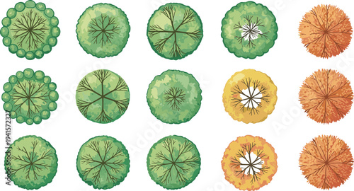 Tree top view illustration, stylized foliage, seasonal canopy, landscape design, urban planning, autumn trees, green leaves, vector vegetation, architectural visualization, nature symbols