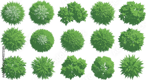 Tree top view illustration set, cartoon foliage icons, landscape design elements, nature clipart pack, vector canopy graphics, outdoor planning assets