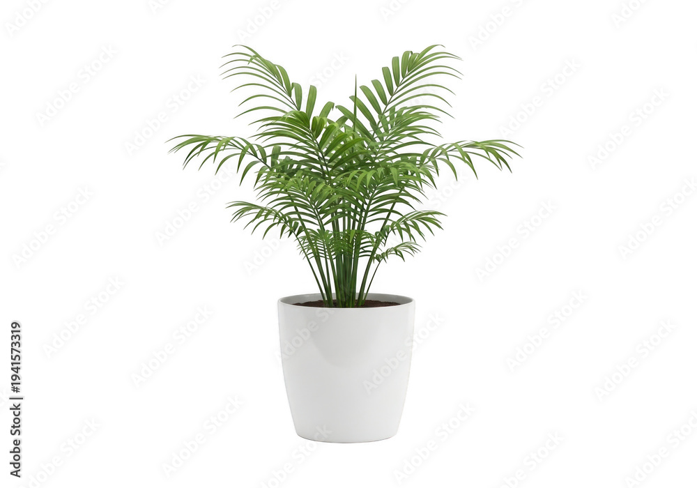 Fototapeta premium Lush green fern plant in a white pot isolated on transparent background