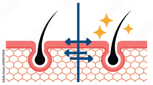 Hair follicle cleansing and skin pore treatment concept illustration