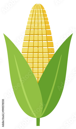 Yellow Corn Ear with Green Leaves Isolated on White Background