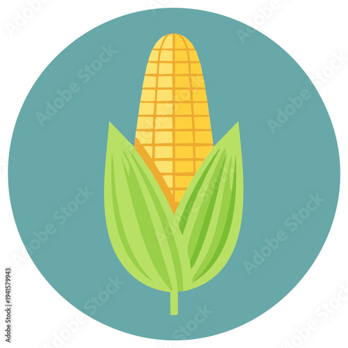 Stylized yellow corn on the cob with green husks fresh food agriculture icon illustration