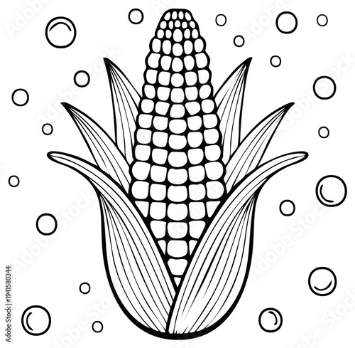 Linear Corn on the Cob Illustration with Kernel Details and Leaf Sheaths