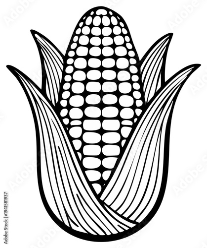 Black and white illustration of corn on the cob with husks and kernels