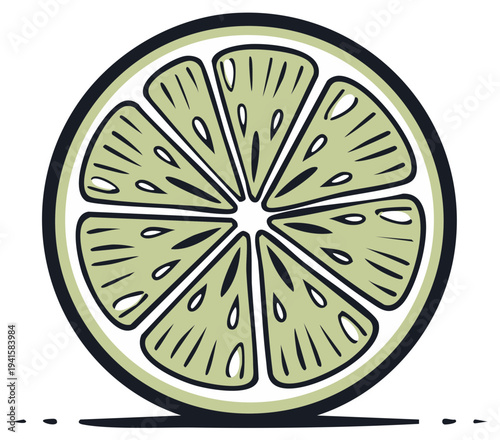 Illustration of Lime Slice Sectional Cut with Seeds Fresh Citrus Fruit