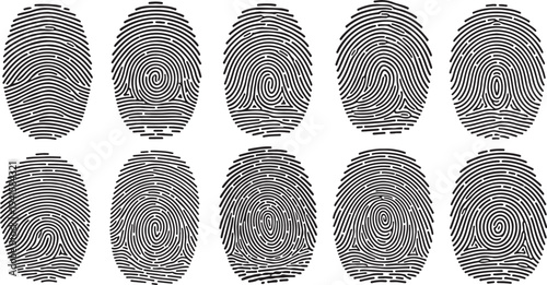 Collection of unique fingerprint patterns on white background closeup