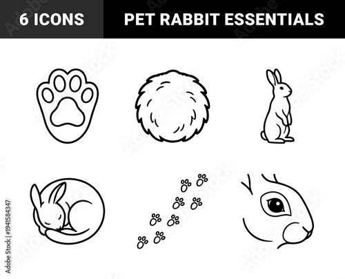 Rabbit behavior and pet care outline elements for veterinary educational materials. Minimalist monoline graphics featuring lagomorph anatomy and agility training concepts.