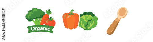 Organic vegetable set with broccoli, carrot, bell pepper, cabbage and wooden spoon on white background for healthy food badge and label flat vector illustration