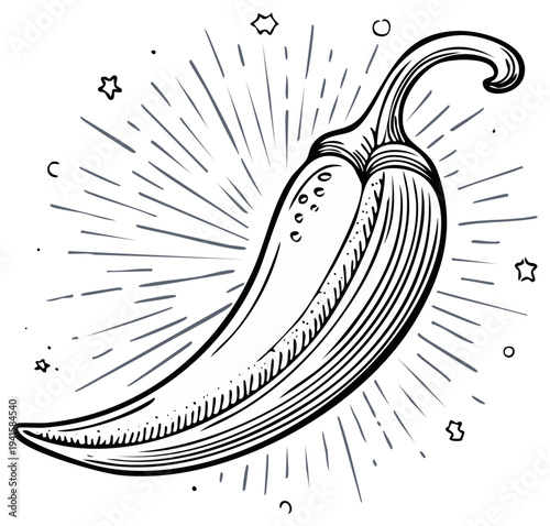 Hand drawn single chili pepper with radiating lines and stars in a vintage illustration style