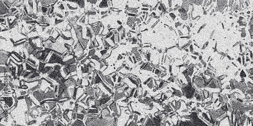 Intricate abstract monochrome network pattern with a grainy texture, resembling cellular structures or complex circuitry for scientific and artistic applications