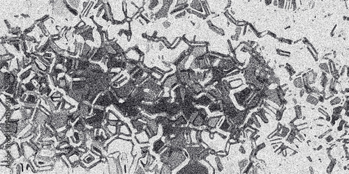 Intricate geometric grayscale pattern with a distressed textured overlay resembling cracked ice or cellular structures for abstract backgrounds
