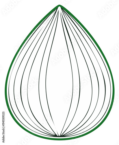 Abstract green teardrop form with radiating lines minimalist organic vector illustration