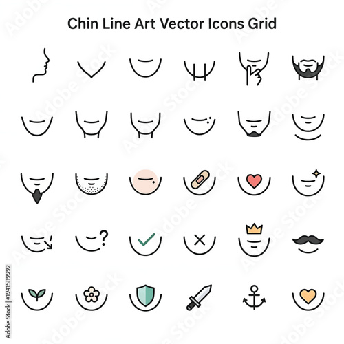 Human Chin Anatomy Illustration Isolated on White Background