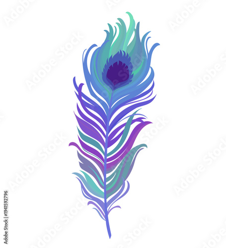 Vector peacock feather on a white background. Design element.