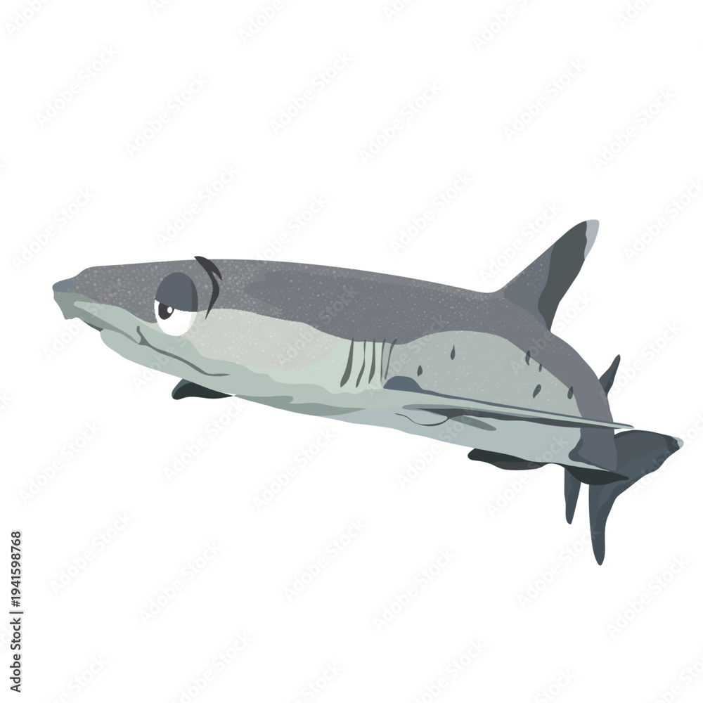 Obraz premium Detailed Whitetip Shark Marine Artwork