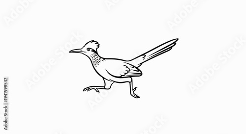A stylized black and white line drawing of a roadrunner in mid-stride