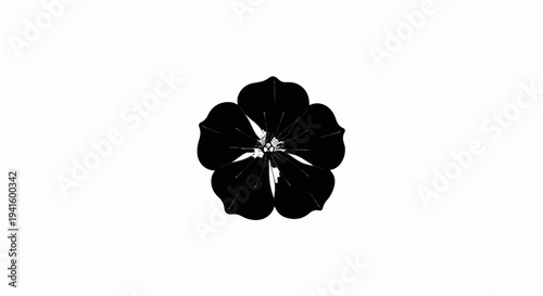 A solitary black flower with detailed petals and a stamen