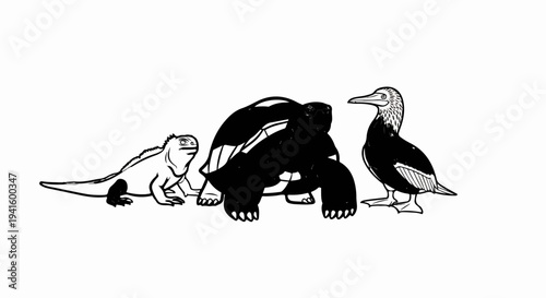 A solitary iguana stands beside a large, dark tortoise and a speckled bird