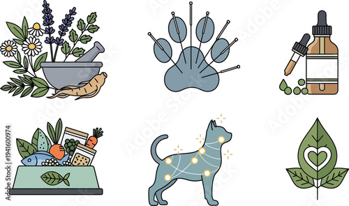 Herbal pet remedies vector