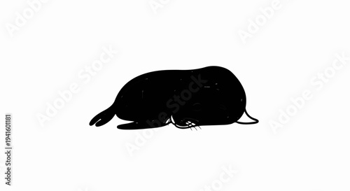 A minimalist black silhouette of a seal resting on its side against a white background