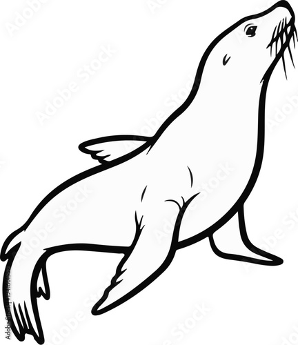 A simple black and white outline drawing of a sea lion looking upwards