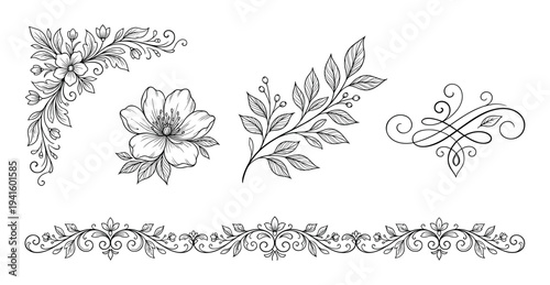 Set of hand-drawn floral ornaments including a corner decoration, border, flower, and calligraphic swirl in a classic vintage line art style for elegant design