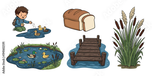 Pond life elements including a boy feeding ducks, a wooden dock, bread, and various aquatic plants, all depicted in a charming cartoon style.