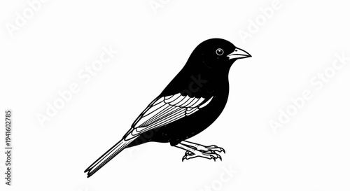 A detailed black and white illustration of a bird with visible wing feathers