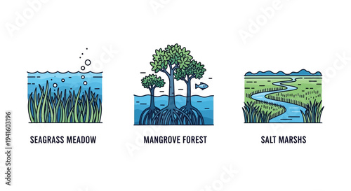 Wetland habitats nature vector