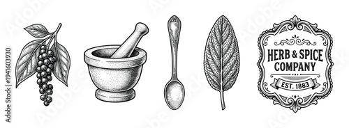 Set of vintage herb and spice illustrations including a peppercorn branch, mortar and pestle, spoon, leaf, and ornate label in a black and white engraving style