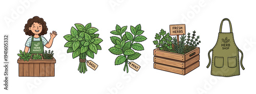 Set of hand-drawn herb market illustrations featuring a friendly vendor, fresh basil and mint, a wooden crate of plants, and a green shop apron in a cute cartoon style