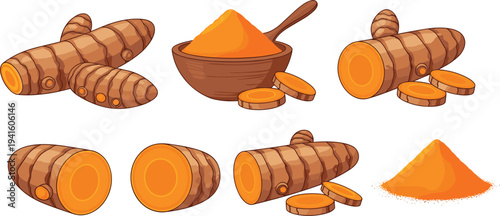 Fresh Turmeric Root and Powder Collection Vector Illustration Featuring Sliced Rhizome and Ground Spice Isolated on White Background