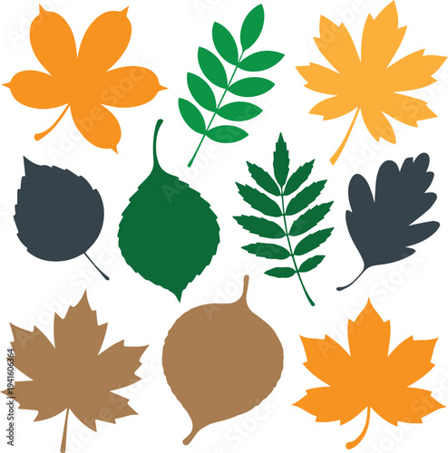Set of Autumn Leaf Silhouettes, Black Foliage Icons of Maple, Birch, Chestnut, and Rowan Leaves Isolated on White Background