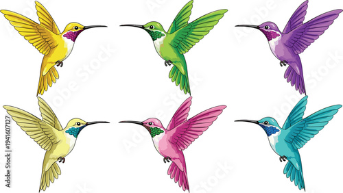 Colorful Hummingbird Collection Vector Illustration Featuring Flying Tropical Birds in Different Vibrant Feather 