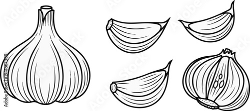 A black and white illustration of a whole garlic bulb and several cloves