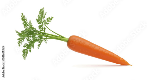 Fresh Orange Carrot with Green Leaves Isolated on White.