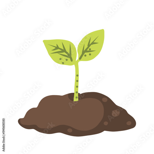 Vector illustration of a young plant growing from soil.