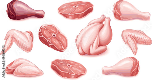 Raw Chicken Meat Cuts Collection Vector Illustration Featuring Drumsticks Wings Breast and Steak Pieces Isolated on White Background