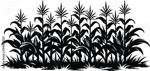 Corn Field Silhouette Maize Farm Landscape Illustration.